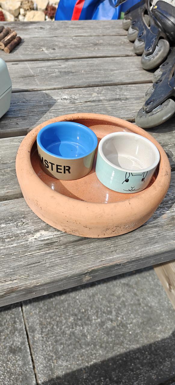 Hamster/muizen kooi glas