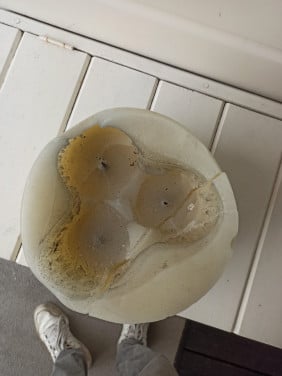 Gratis ophalen grote kaars