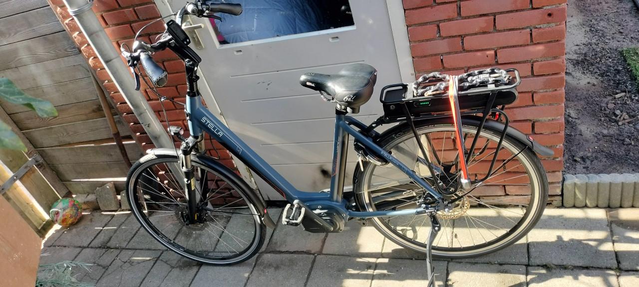 Stella Livorno steps