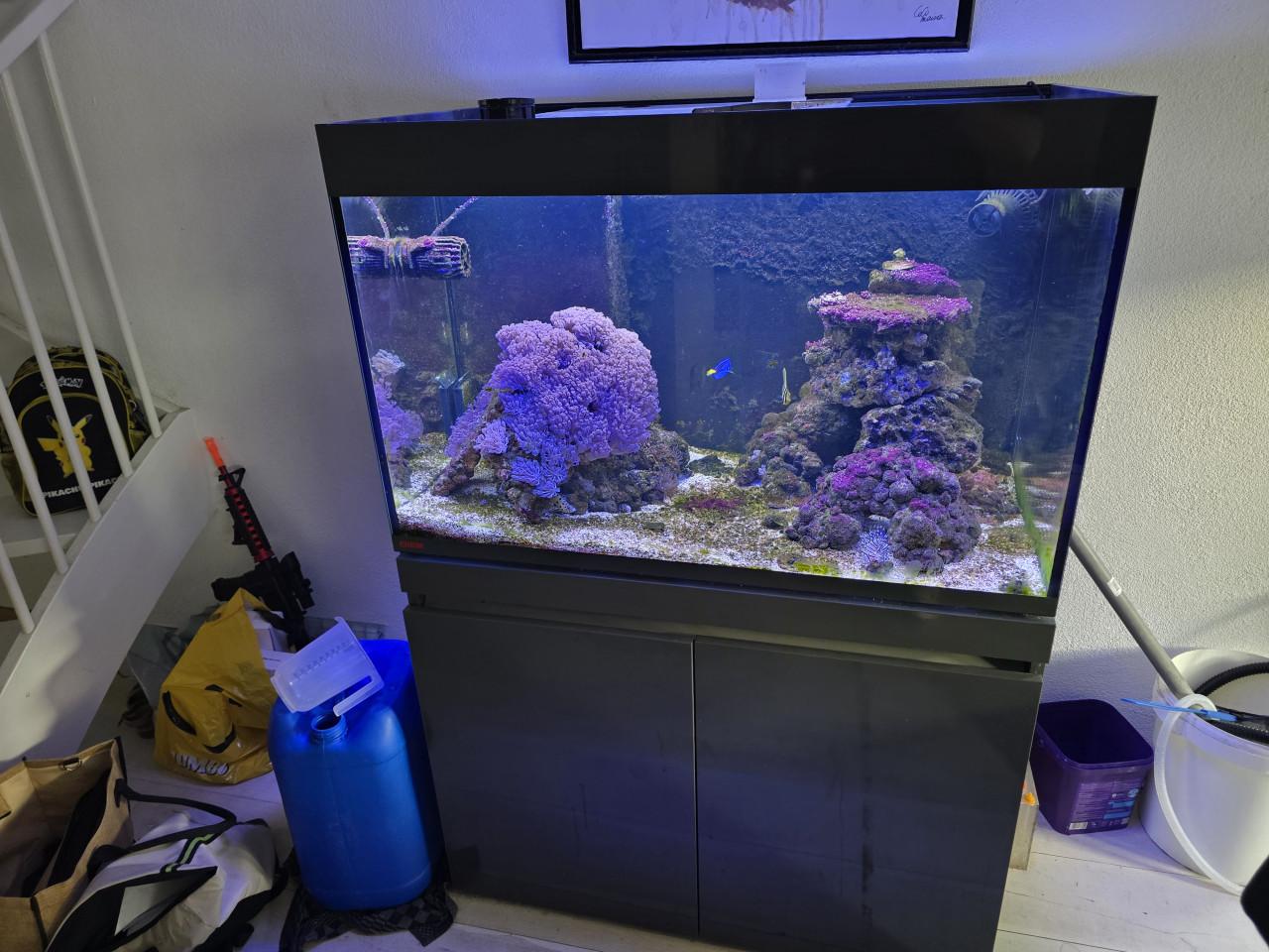 Mooi Zeewateraquarium
