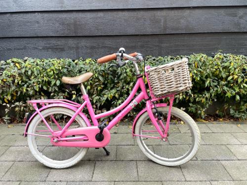 Meisjes fiets Alpina 18 inch