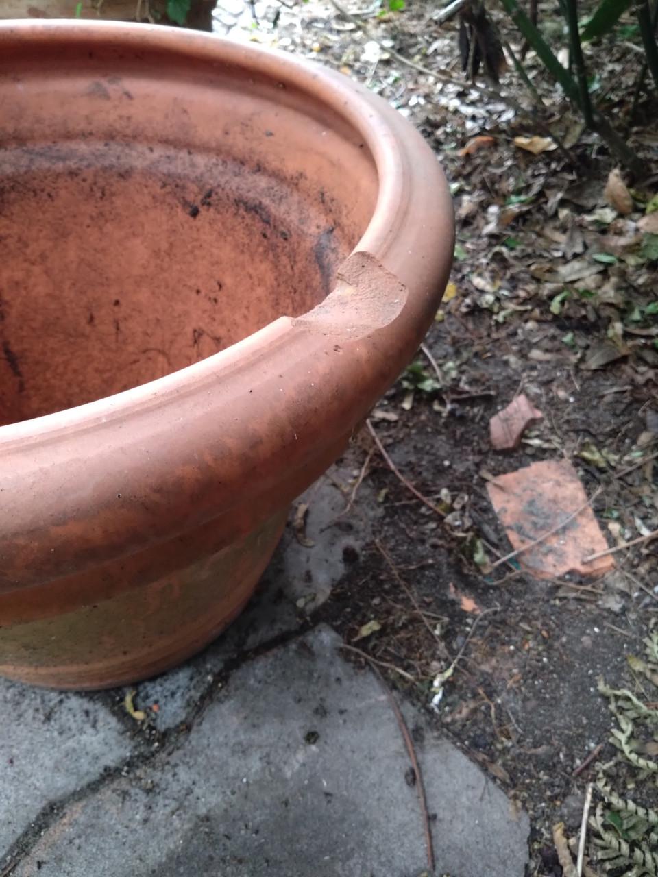 Toscaanse terracotta pot tuin