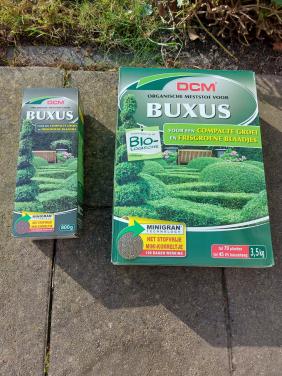 Bemesting voor buxus