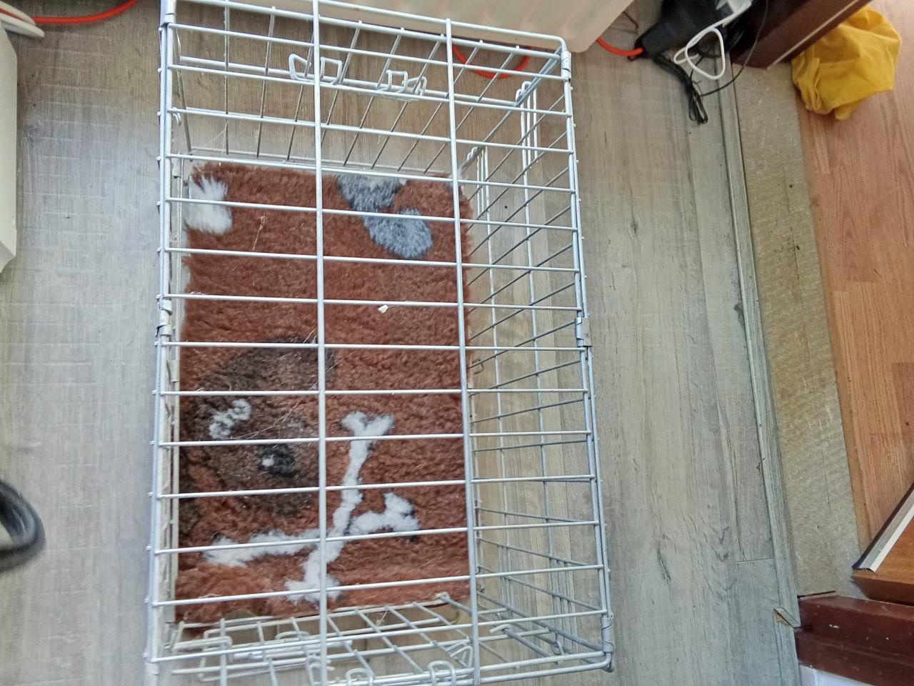 Bench voor kleine honden en pups inclusief nieuwe vetdeken.