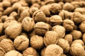 Verse   Biologische  Walnoten   Oogst  2025     5 kg  voor  € 19,50