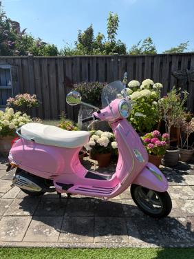 🌸 Vespa LX 50 2-takt – zeldzame roze uitvoering