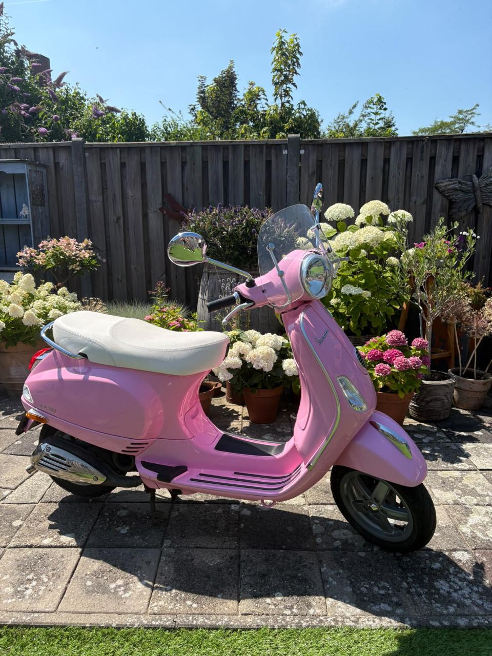 🌸 Vespa LX 50 2-takt – zeldzame roze uitvoering