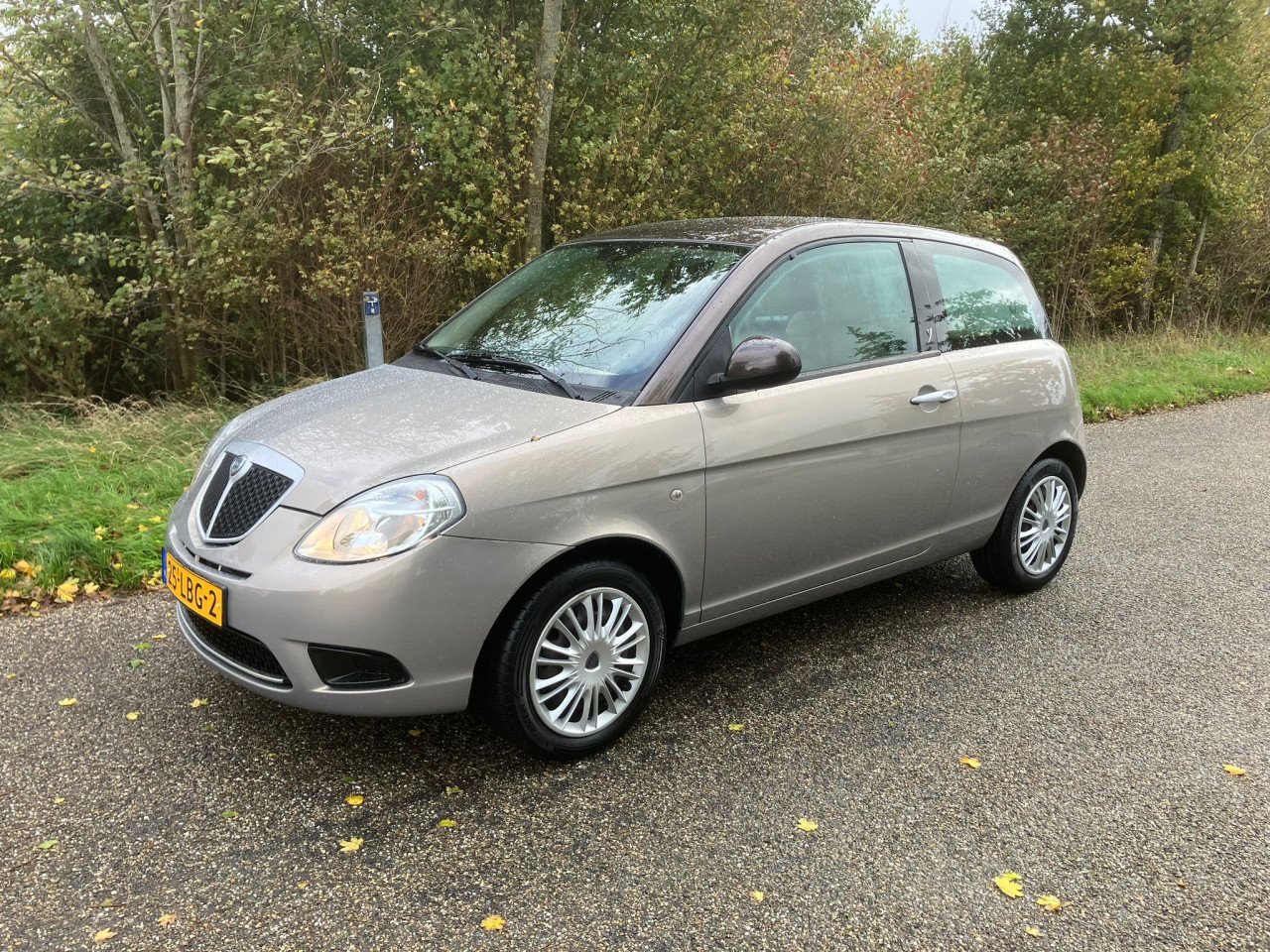 Lancia Ypsilon 1.4