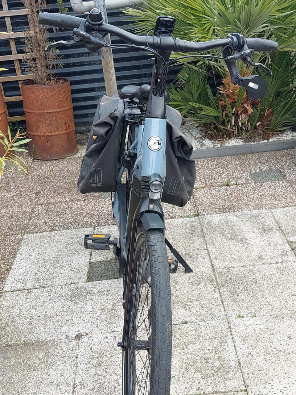 Gazelle Chamonix T10 grey/blue 53