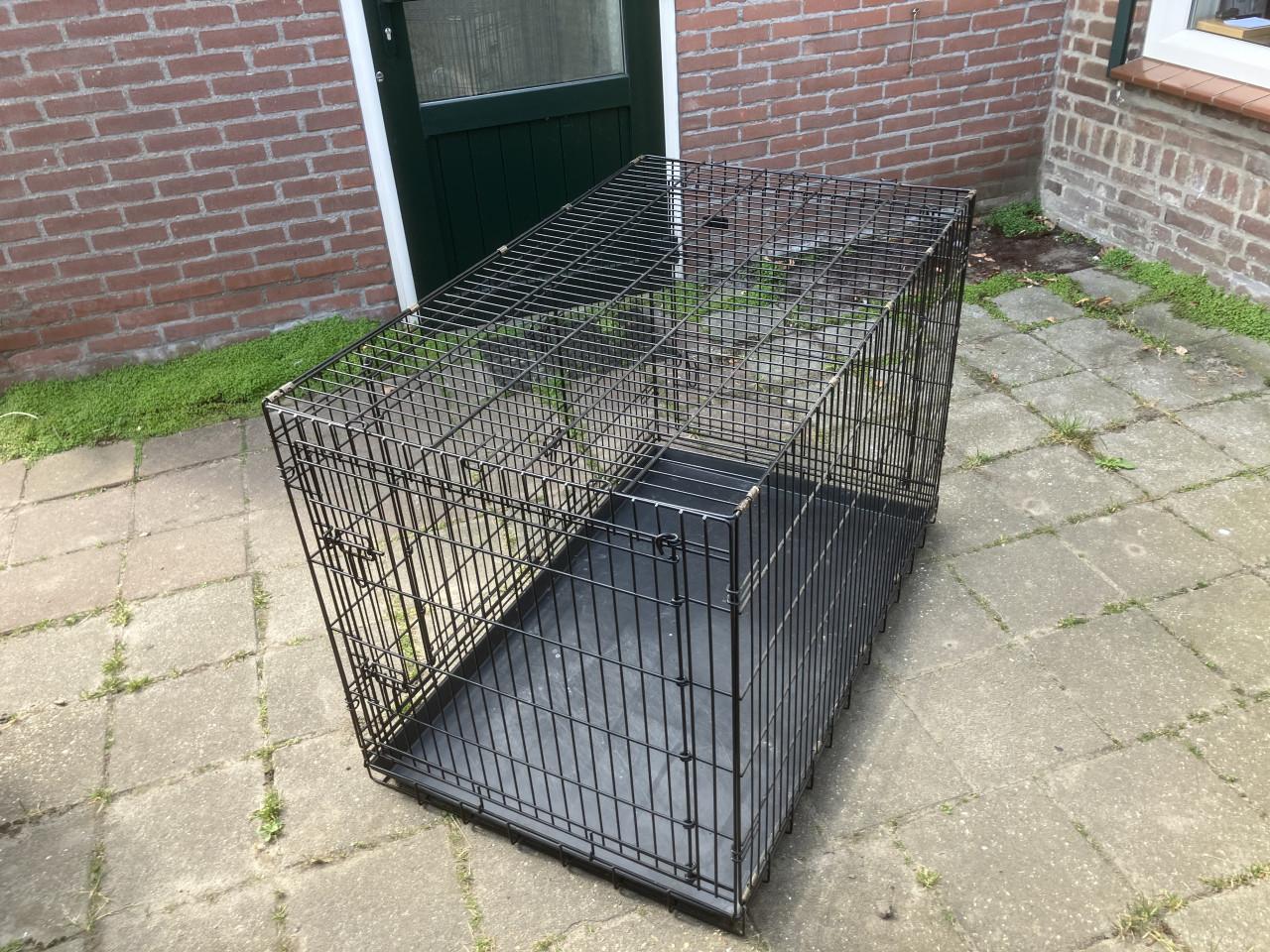 Bench voor middelgrote hond
