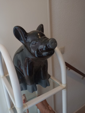 Verzameling varkens (beeldjes)