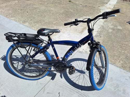 Kinderfiets Batavus snake 26inch