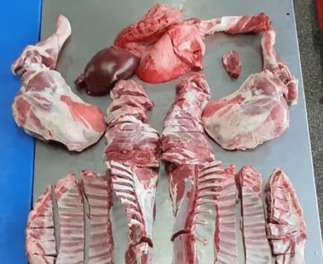 Lamsvlees bout per kilo  vlees lam schaap schapen