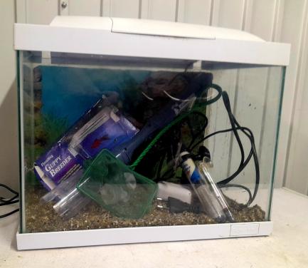 Aquarium compleet met toebehoren