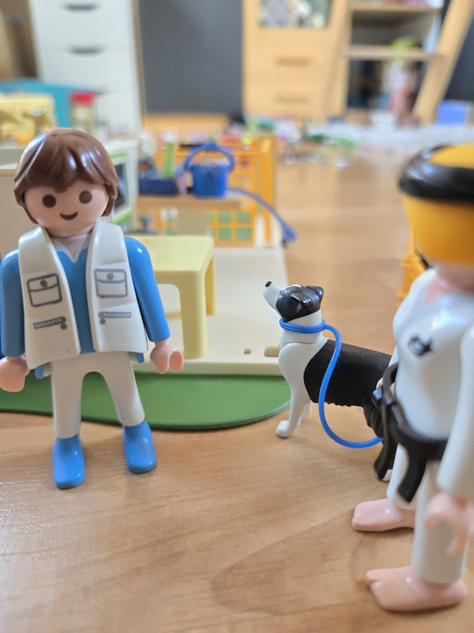 Playmobil dierenarts een huisdieren