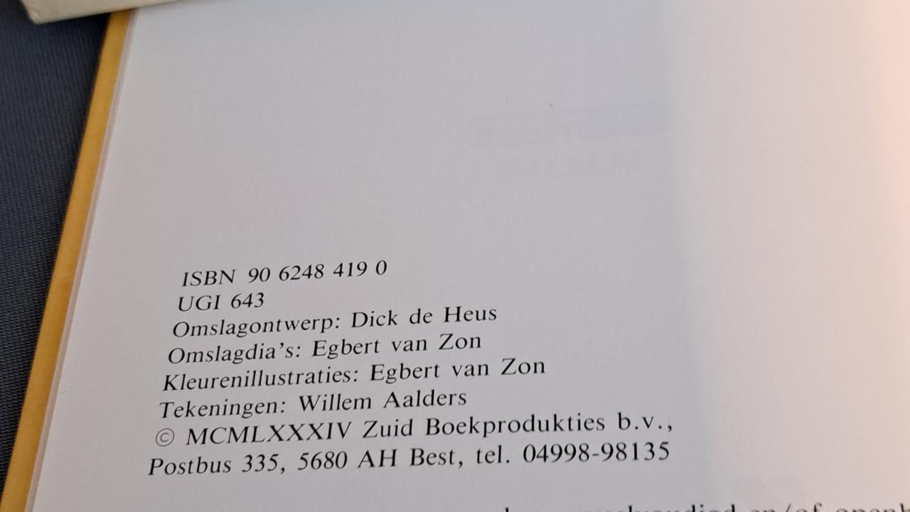 Diverse DIY boeken in z.g.st.