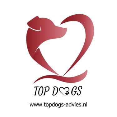 🐾 Positieve Indoor Hondentraining voor jou en je hond! 🐾