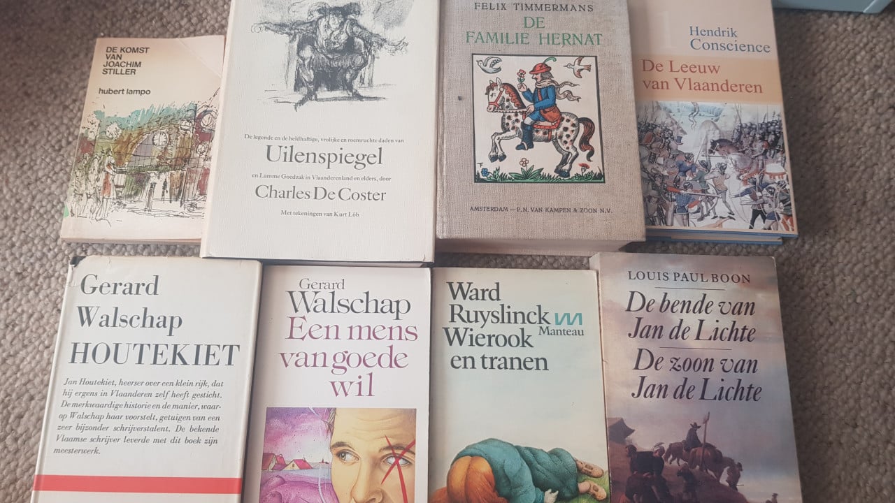 8 Vlaamse klassieke boeken