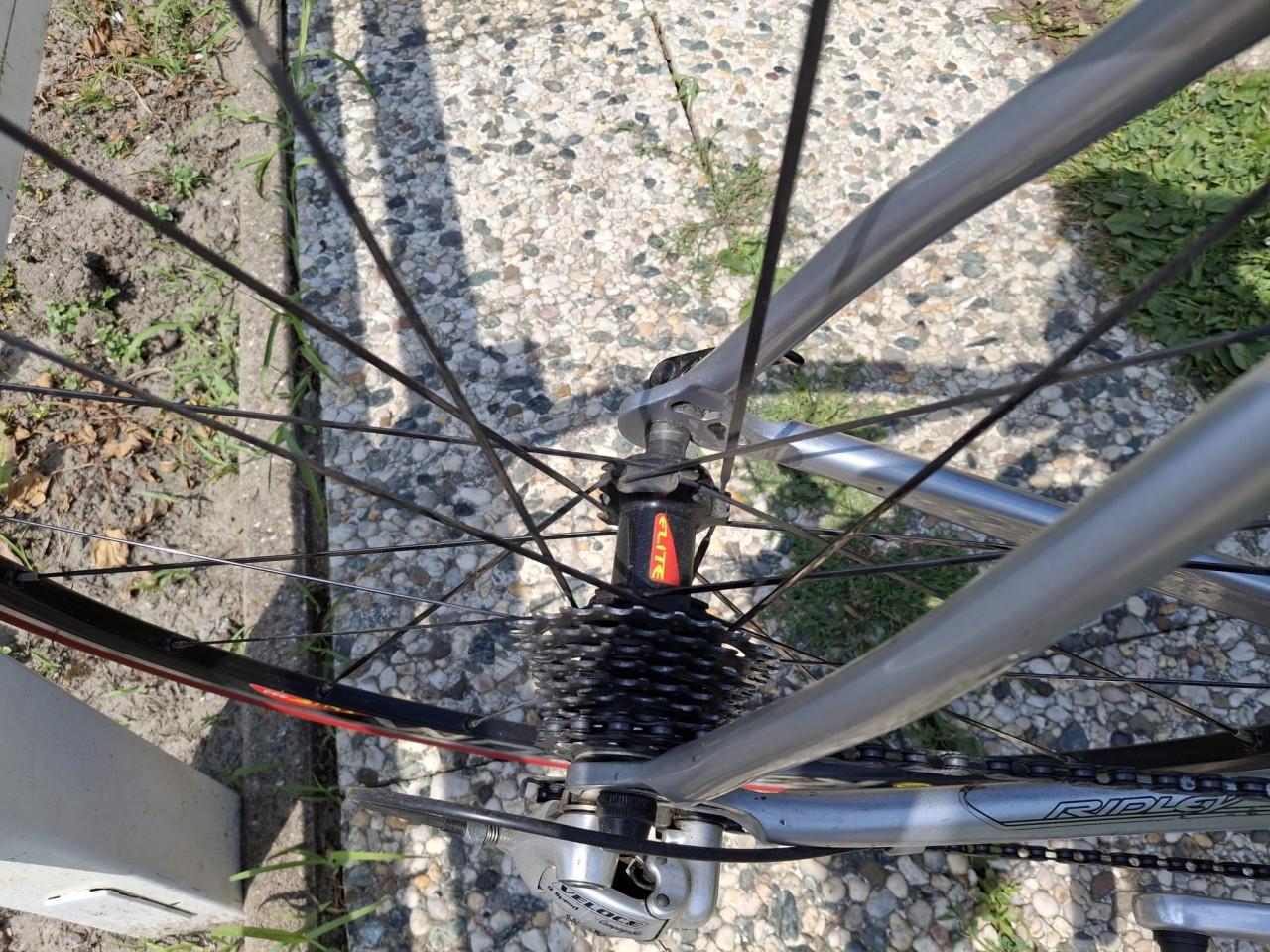 Te koop ridley