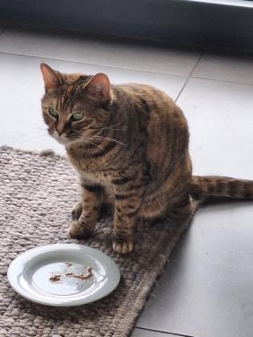 Goed thuis gezocht voor Loesje