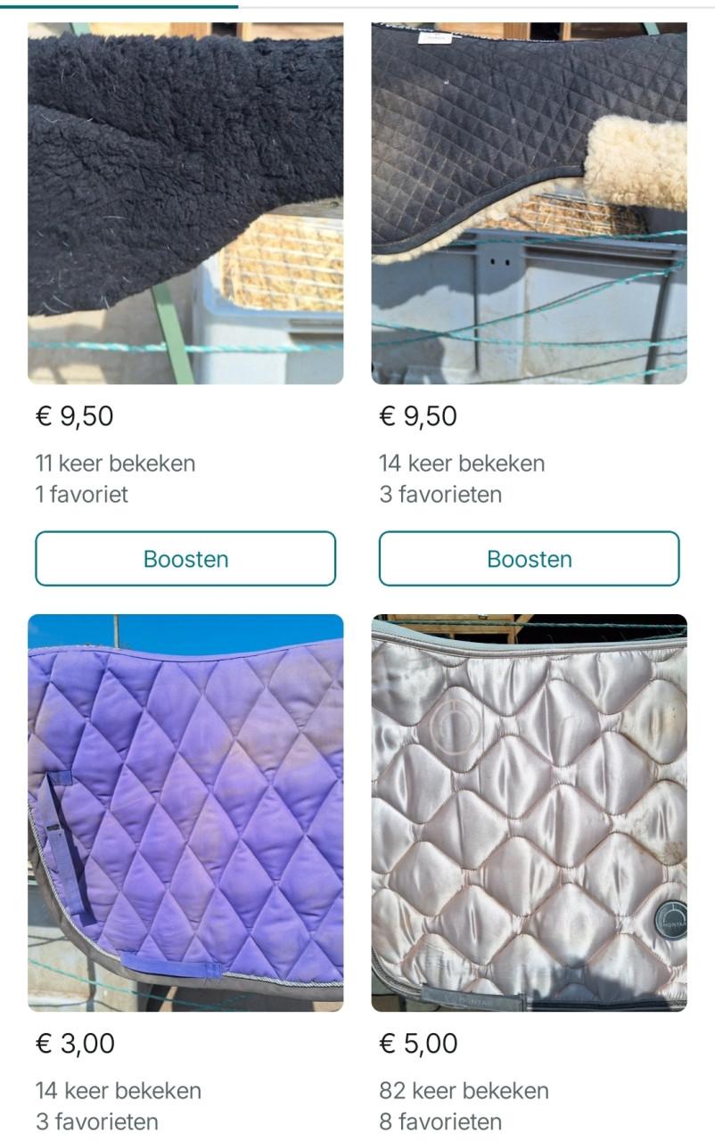 Paardenspul