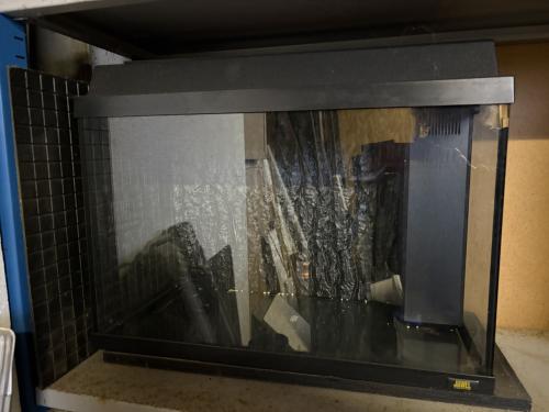 Juwel aquarium 60x30cm