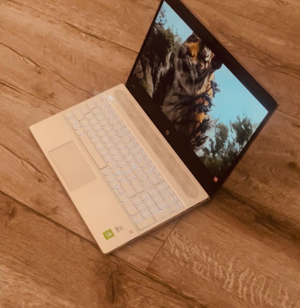 Zeer Nette Snelle Hp Laptop i7-1065G7 - 16 GB - 512 SSD - GeForce MX250 2GB