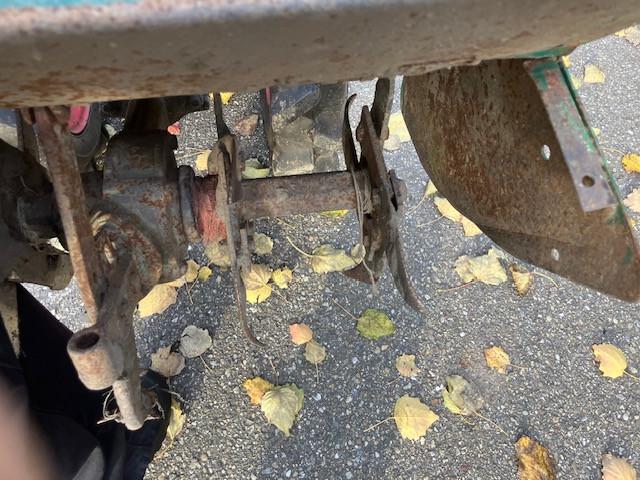 Tuinfrees met een klein beetje werk