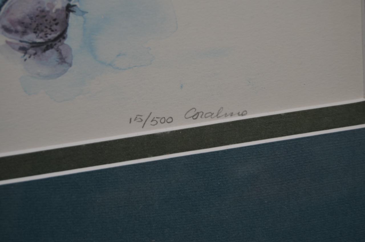 Grote litho Coraline Bäcker gesign. genummerd, gedateerd