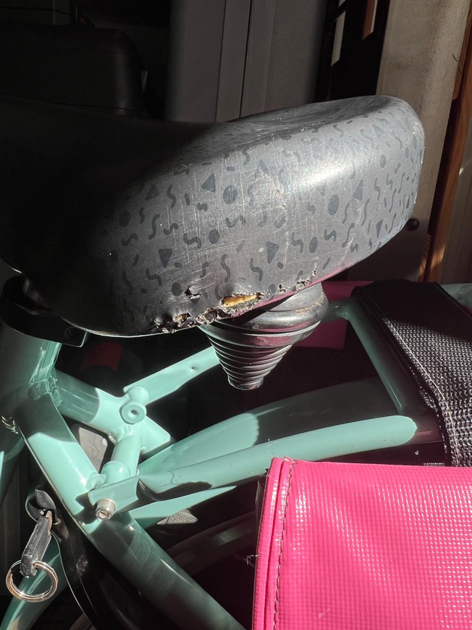 Alpina Kinderfiets 26 inch met voordrager en fietstassen