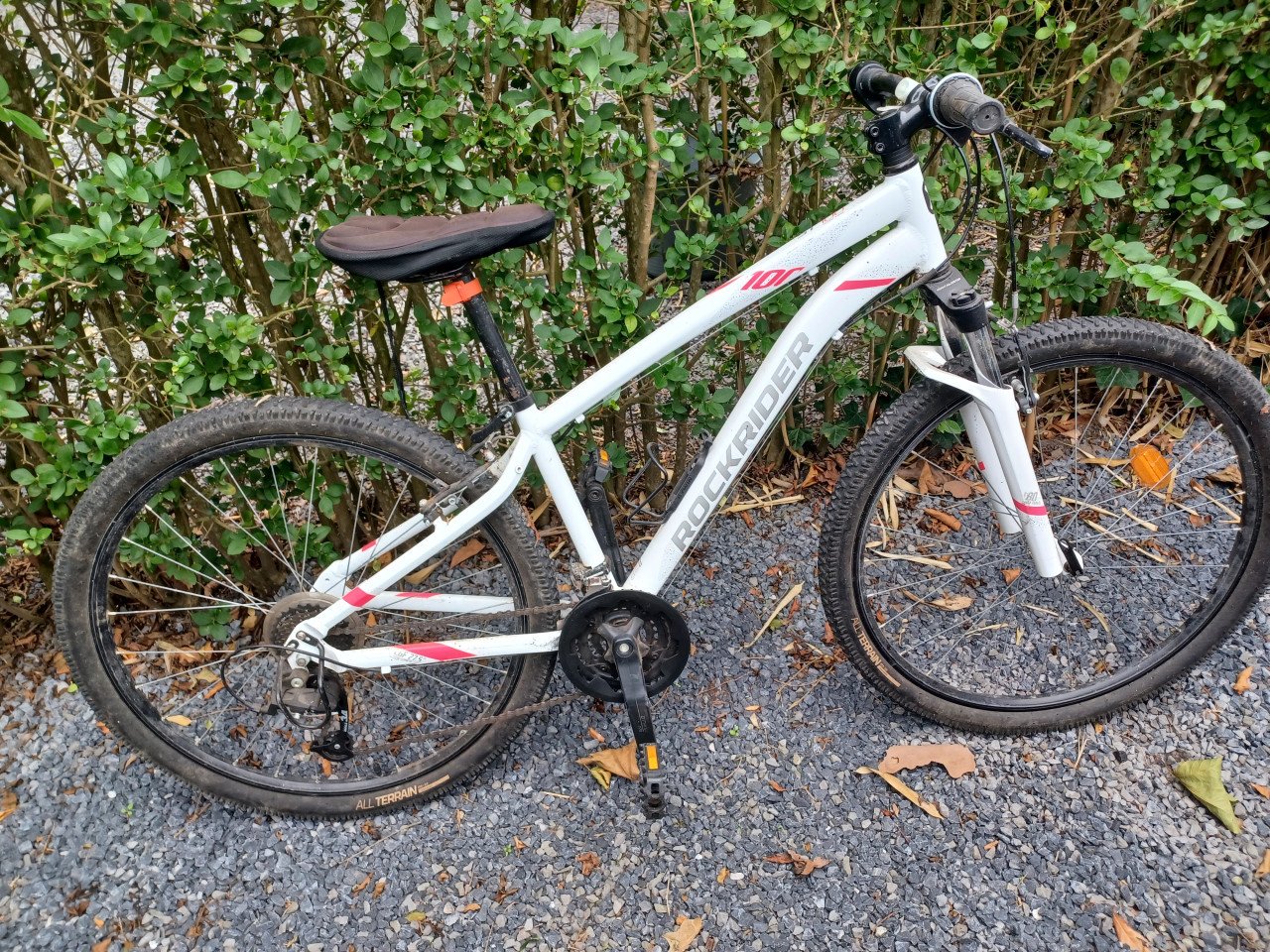 Rockrider st100 dames mtb
