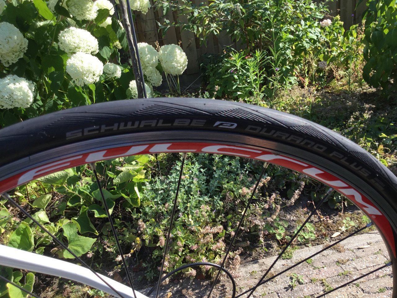 Ridley tritonS