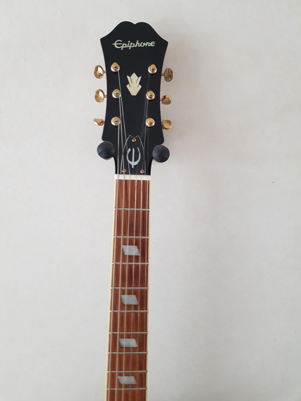 Epiphone Riviera custom P93