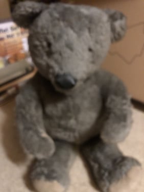 Knuffelbeer
