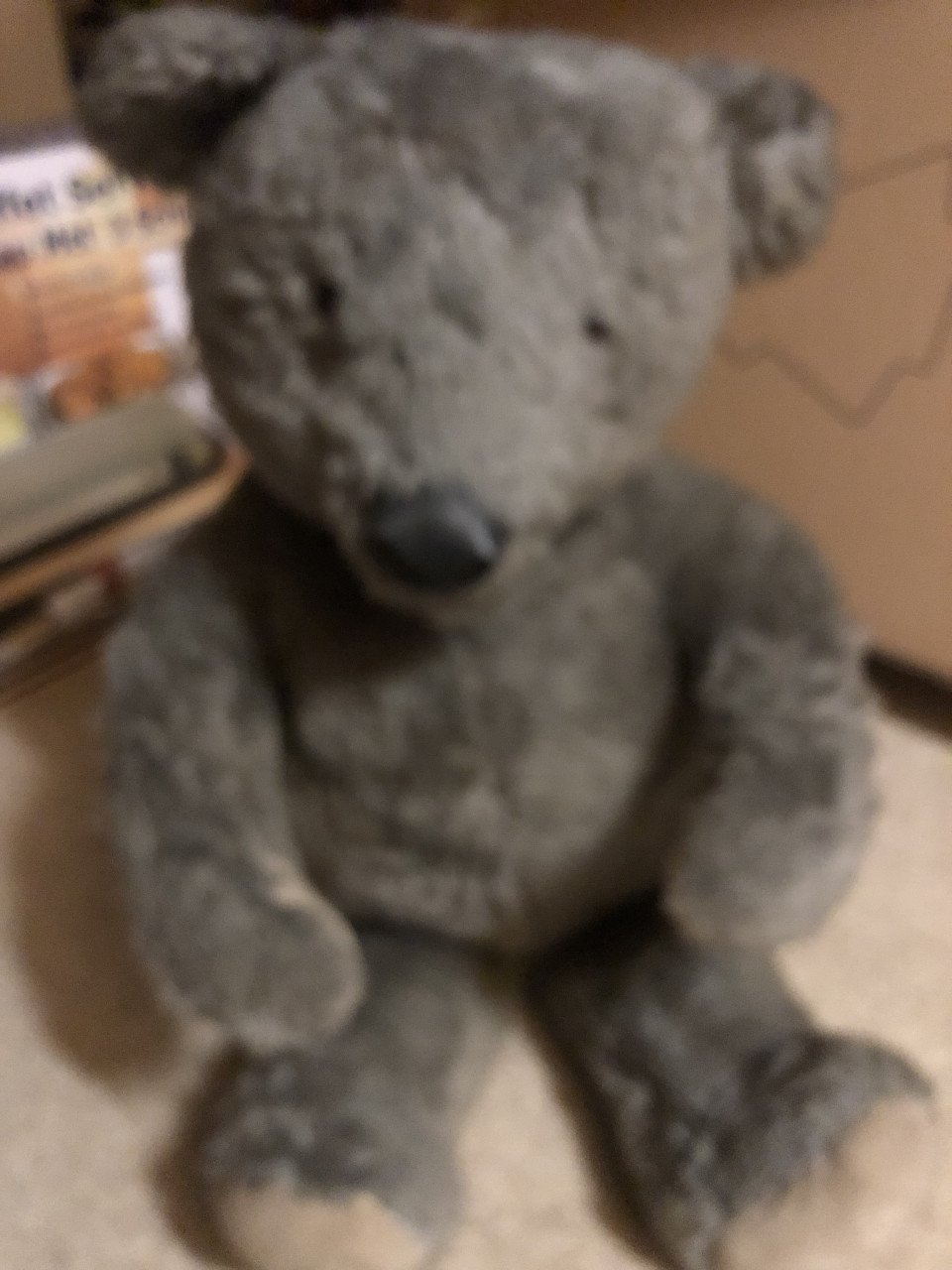 Knuffelbeer