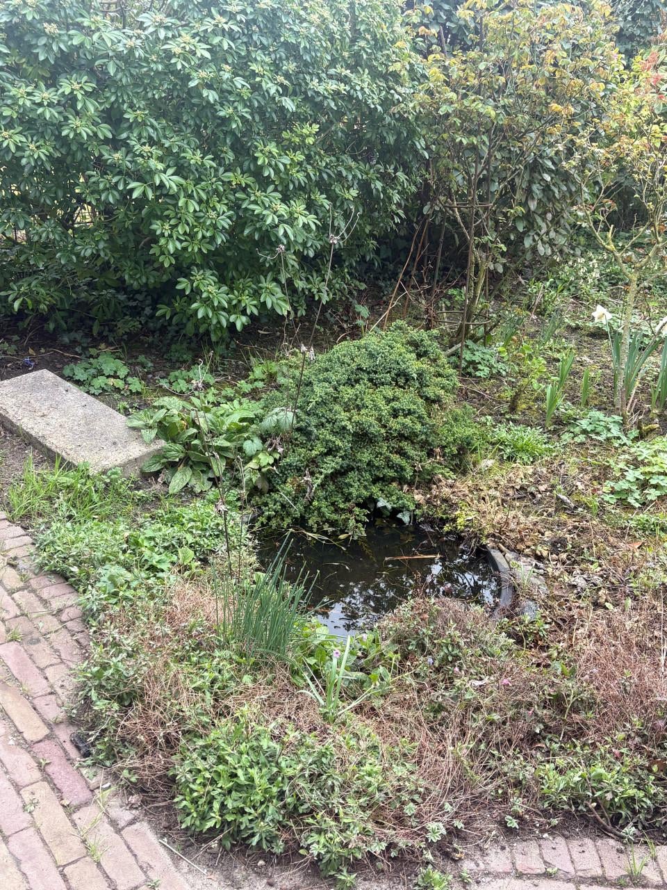 GRATIS: Kunststof minivijver / vijverbak (zelf uitgraven)