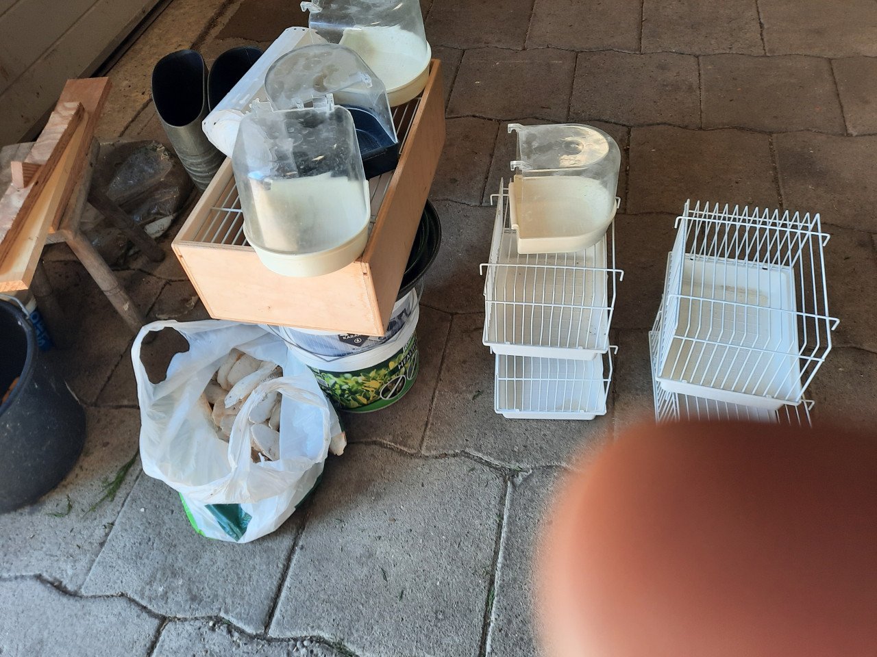 Volledige vogel/kanarie kweekinventaris