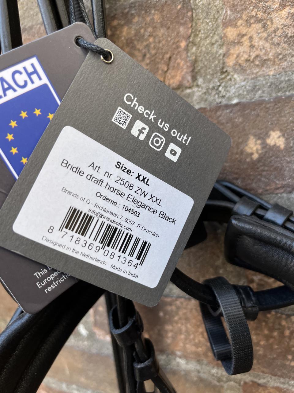 Nieuw hoofdstel trekpaard