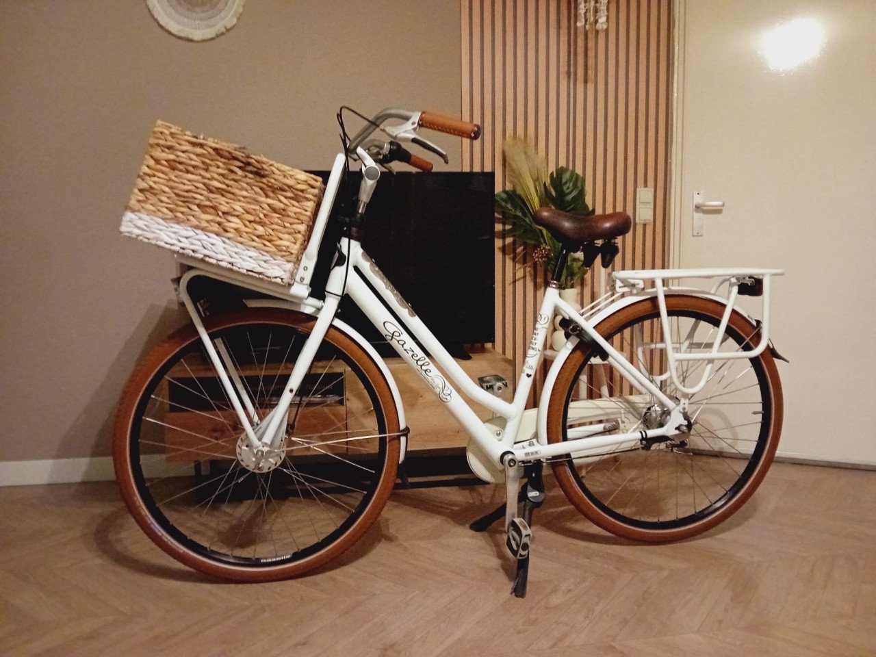 Mooie Gazelle Miss Grace ZGAN!