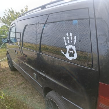 Mercedes vito