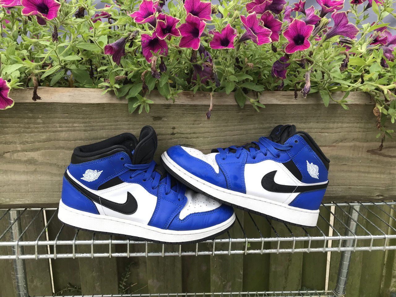 Nike Jordans
