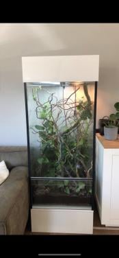 Complete terrarium voor een furcifer pardalis