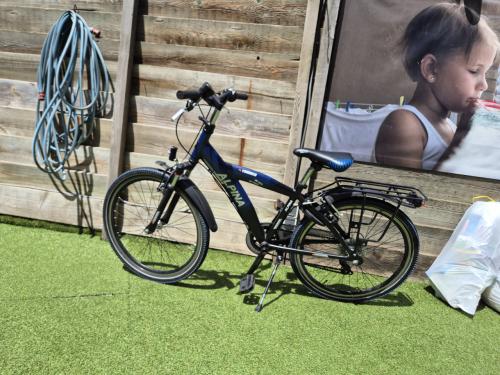Alpina yabber 24" 7 versnellingen