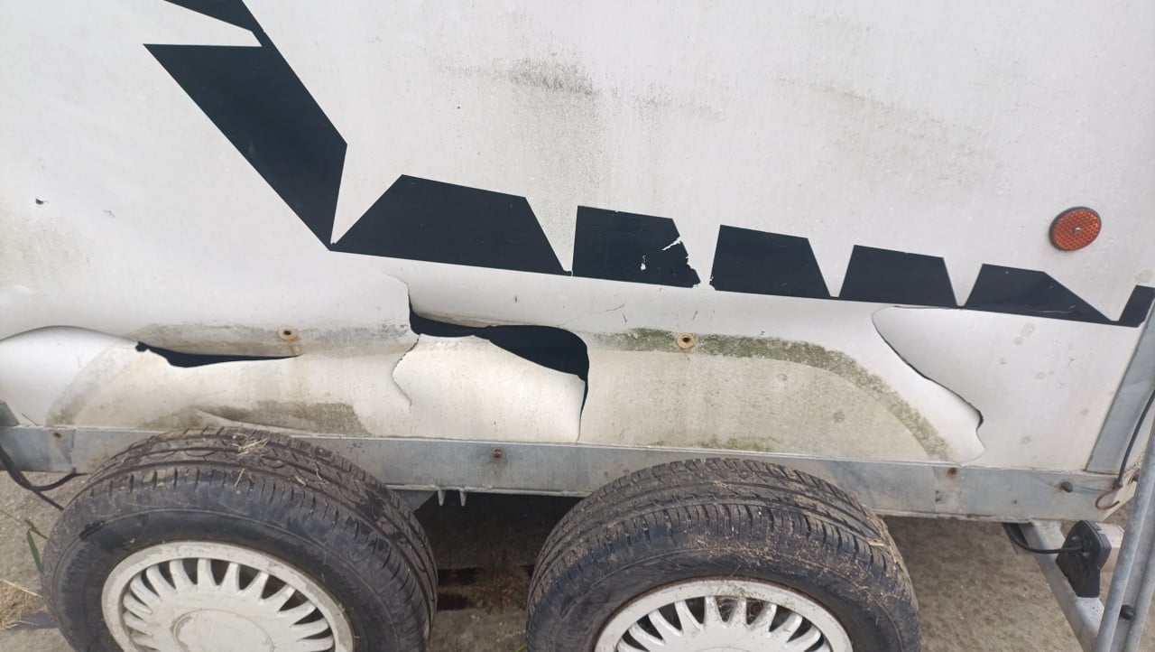 1.5 paardentrailer