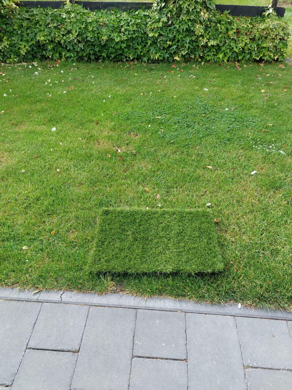 Kunstgras