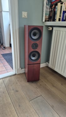 Linn Keilidh, zeldzame kleur, superscherpe prijs!!