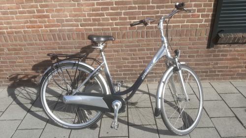 Trenergy damesfiets
