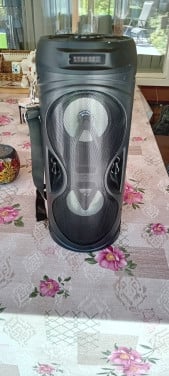 Roseland speaker