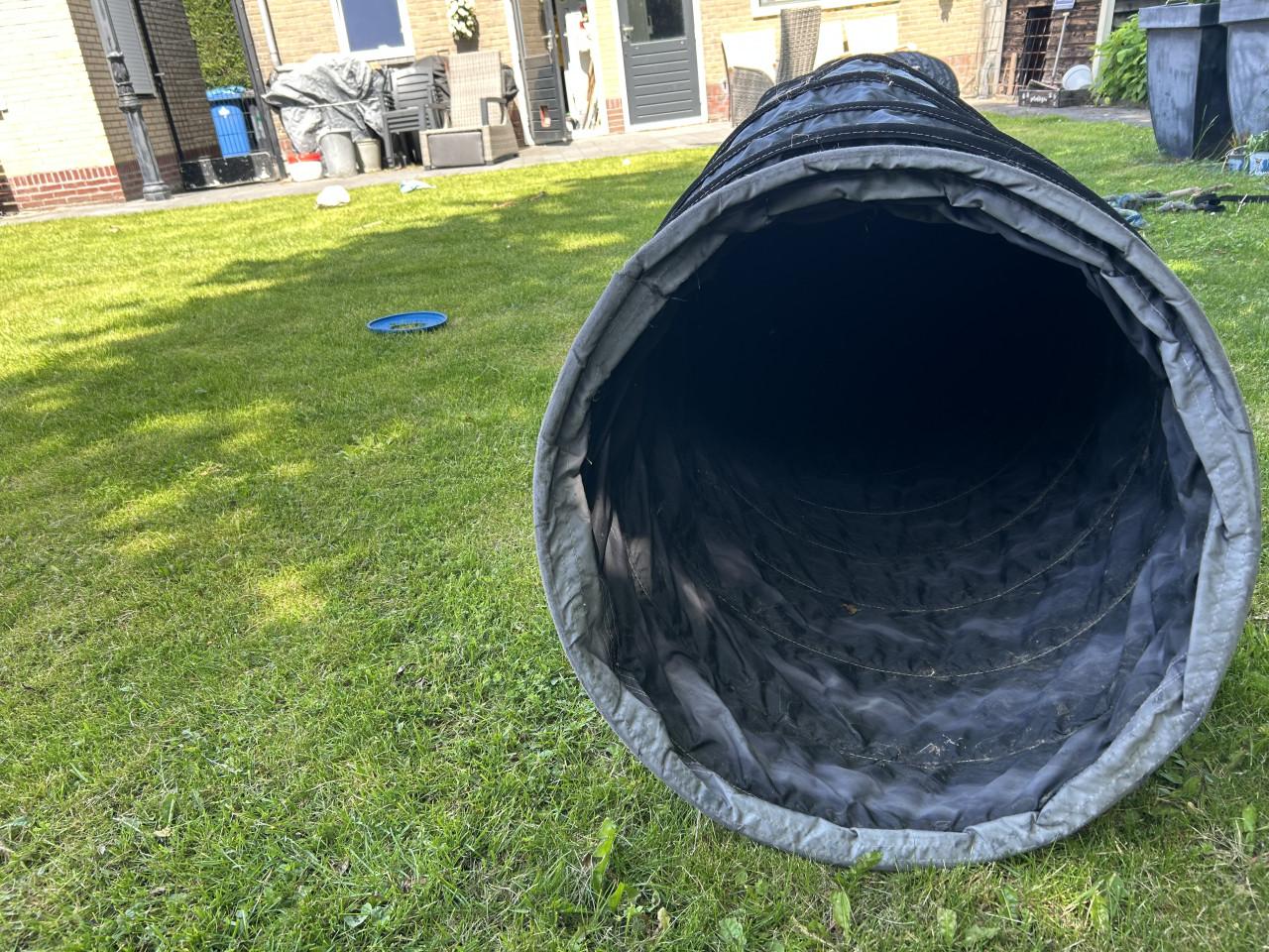 Tunnel honden training
