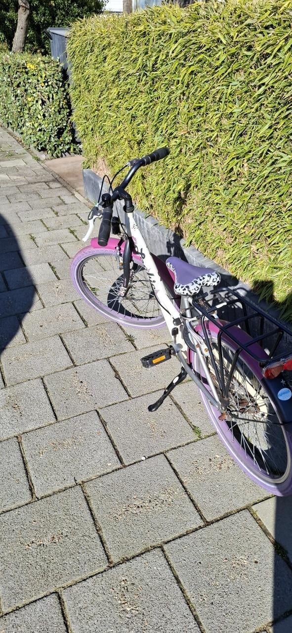 Loekie kinderfiets 22 inch